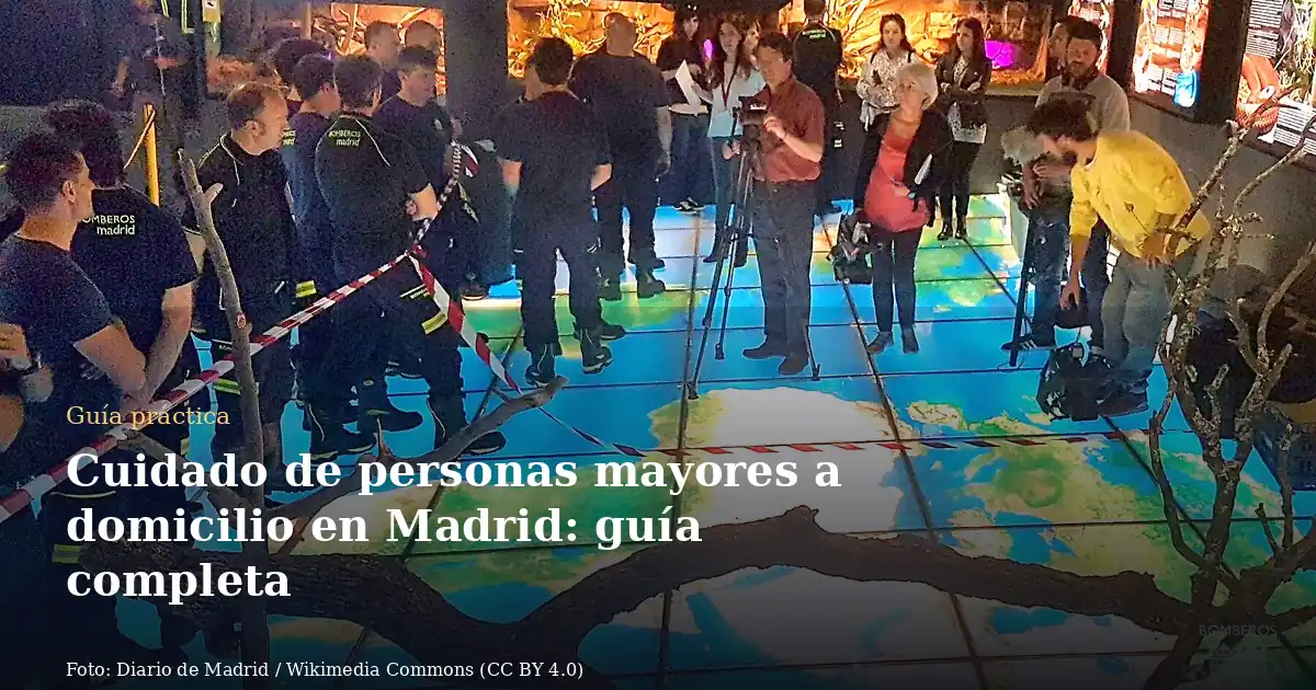 Cuidado de personas mayores a domicilio en Madrid: guía completa