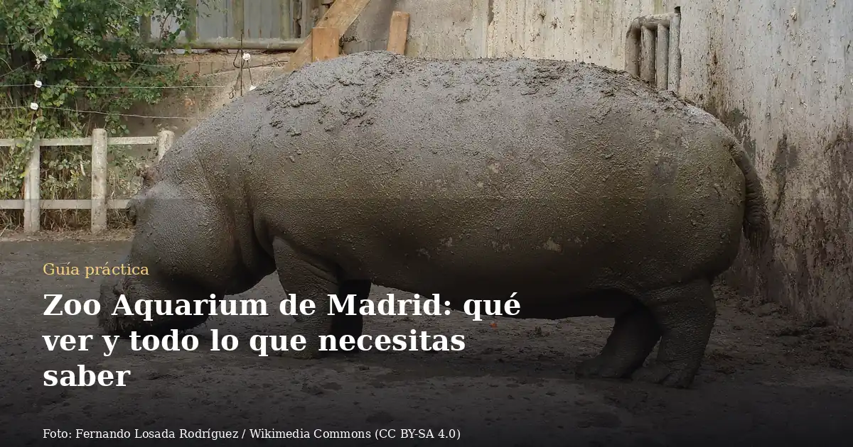Zoo Aquarium de Madrid: qué ver y todo lo que necesitas saber